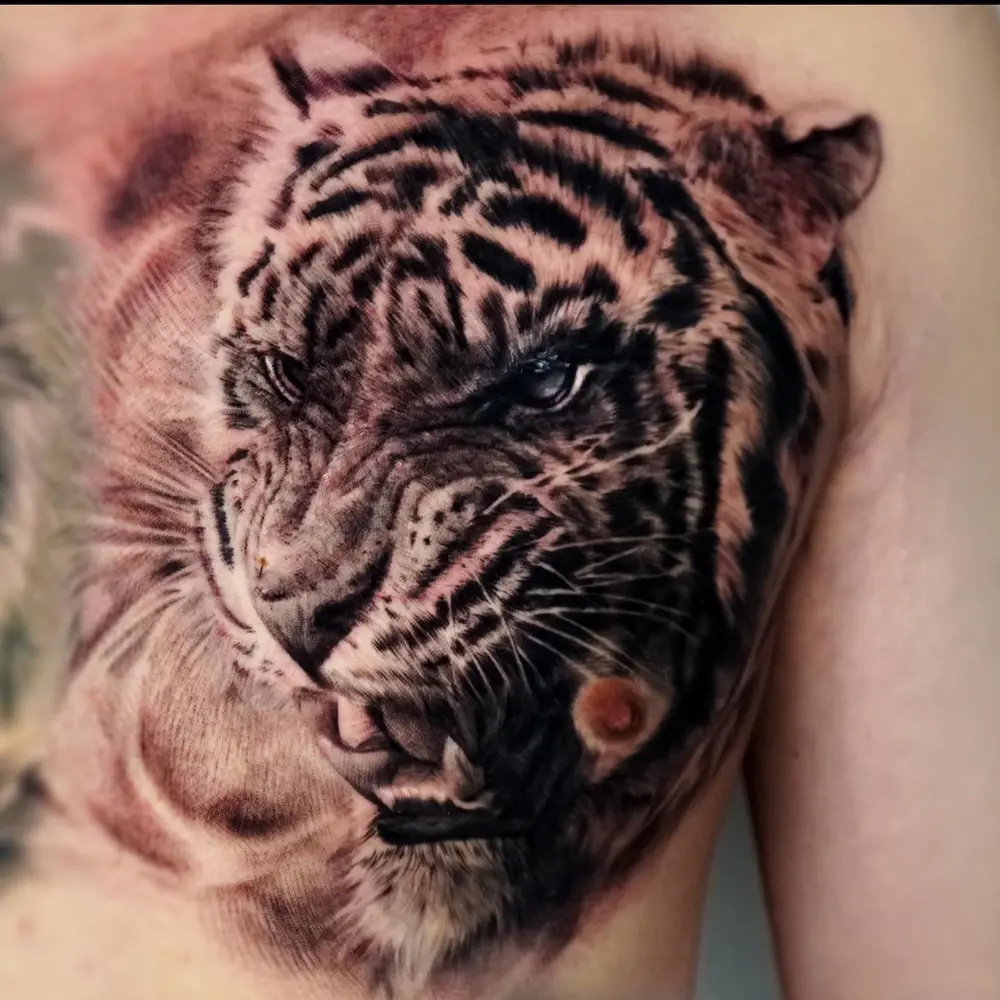 Tiger, Animal