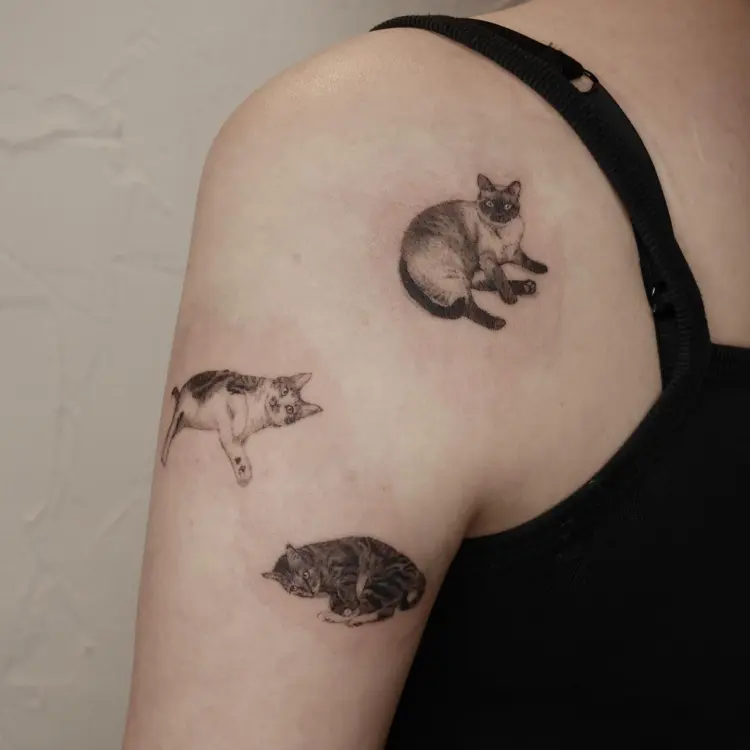 40.tatt