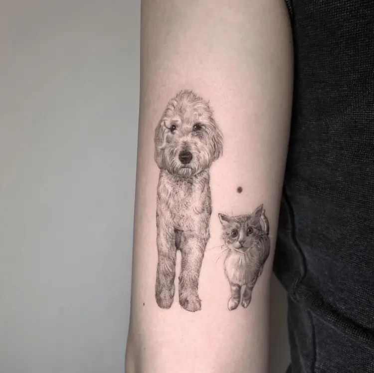 Animal