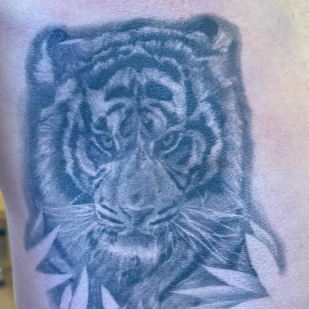 Animal, Tiger