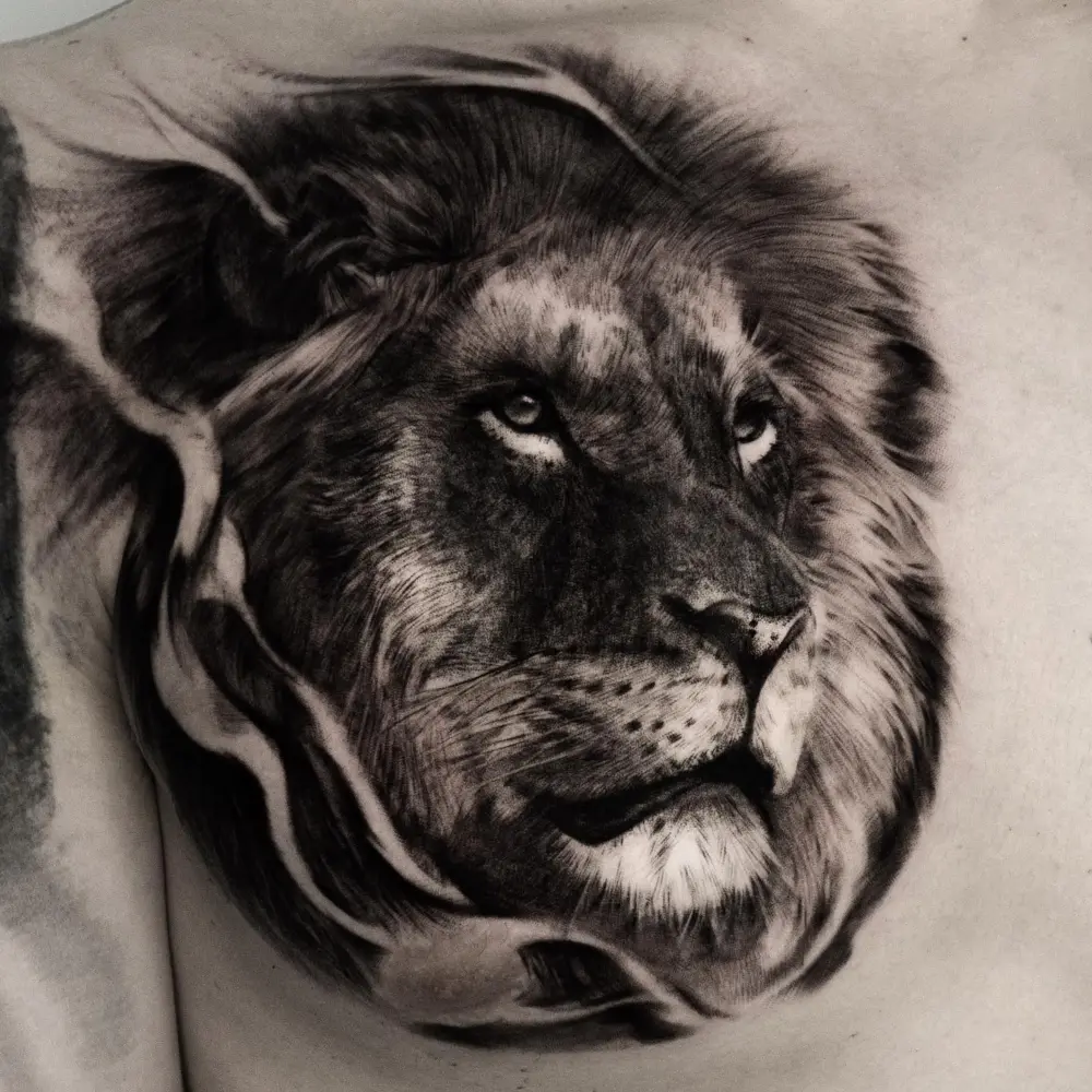Animal