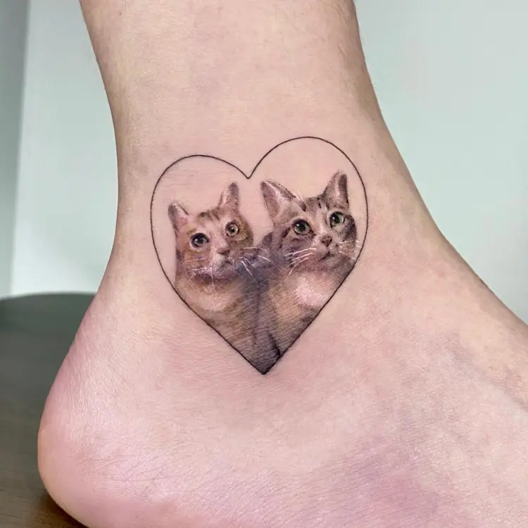 Animal