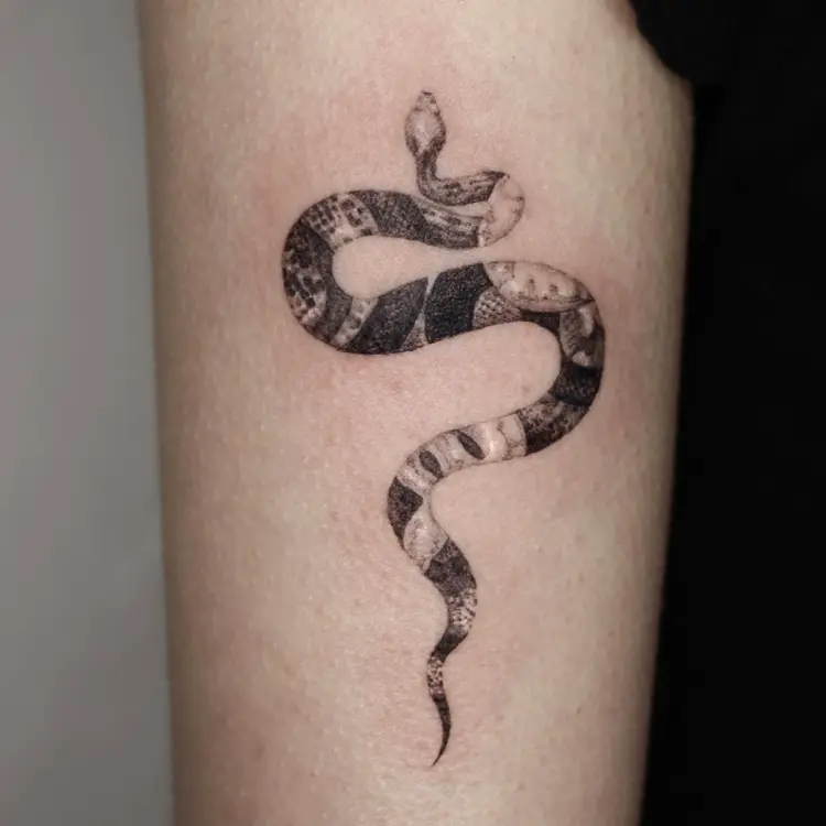 40.tatt