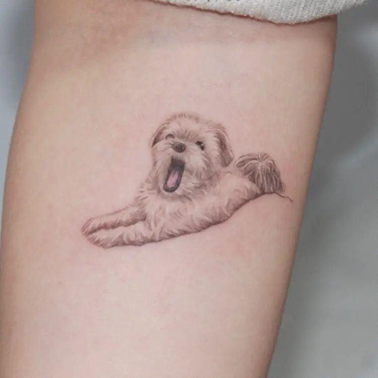 Animal