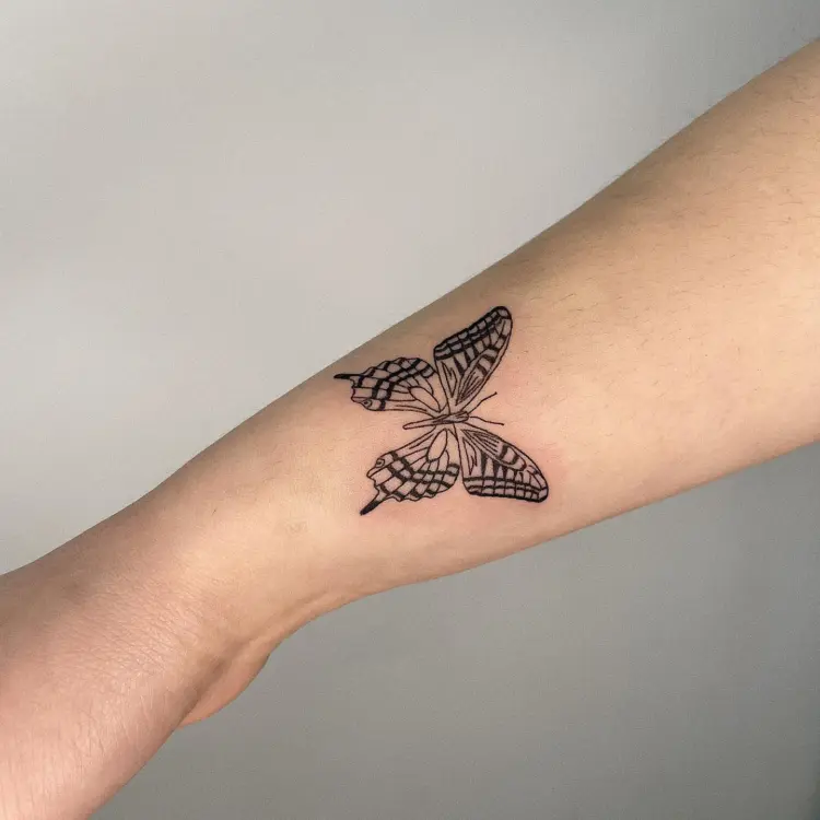 Nature, Animal
