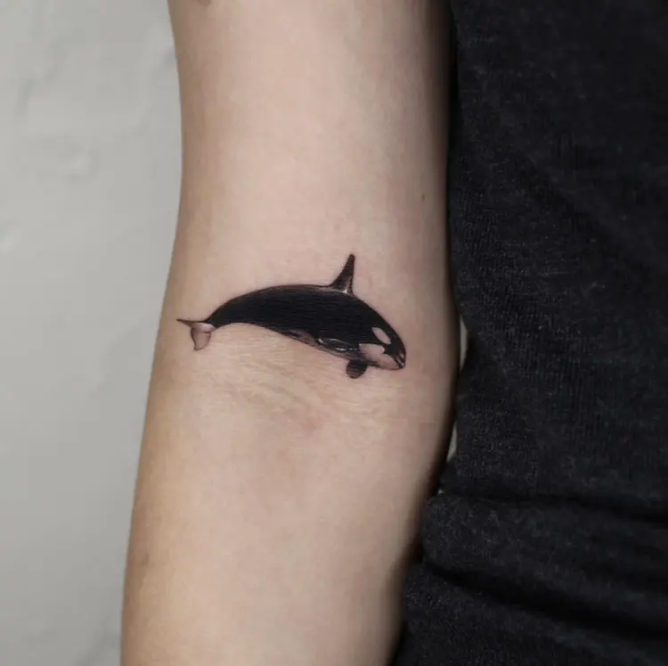 40.tatt