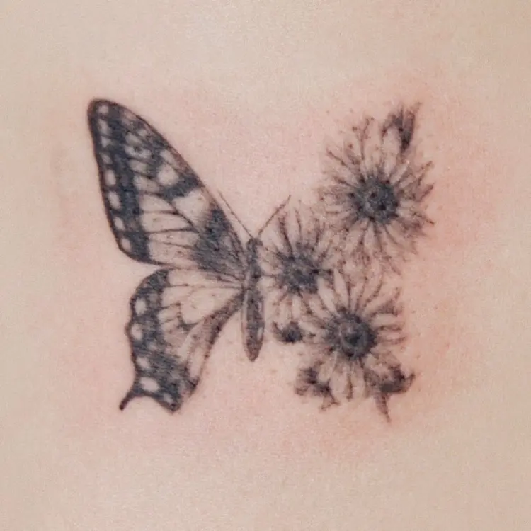 Nature, Animal, Flower