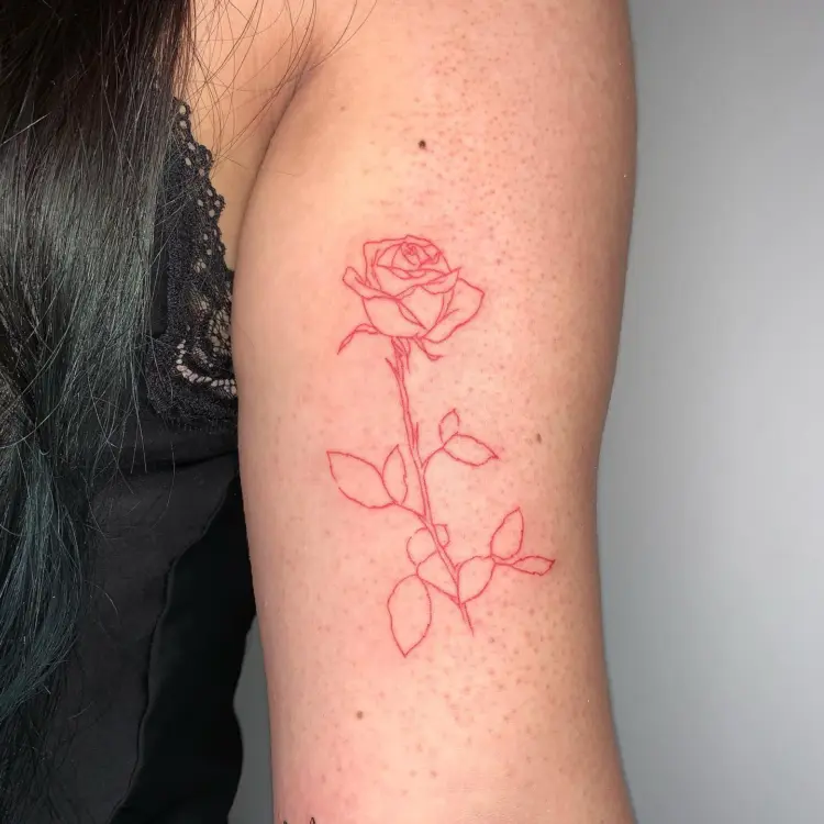 Flower, Rose