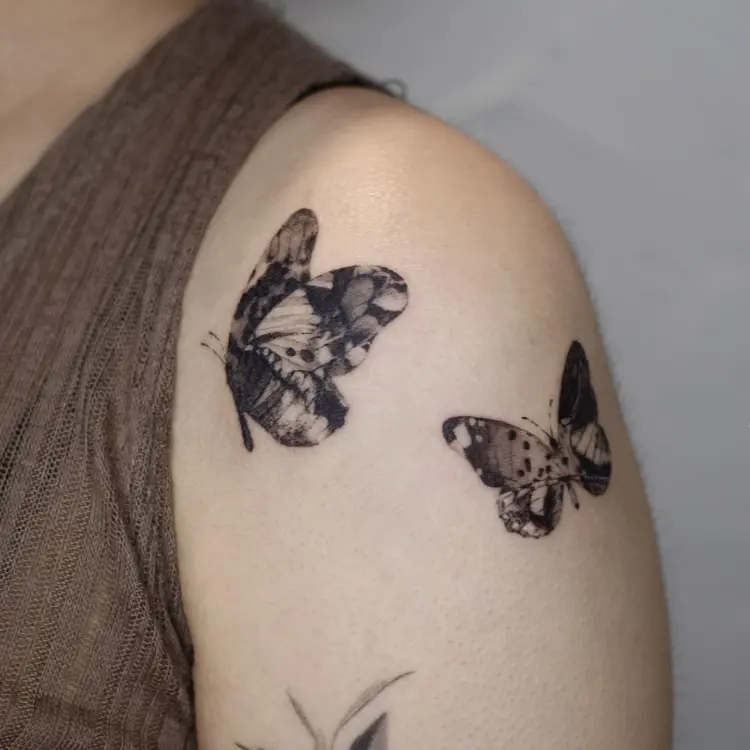Nature, Animal