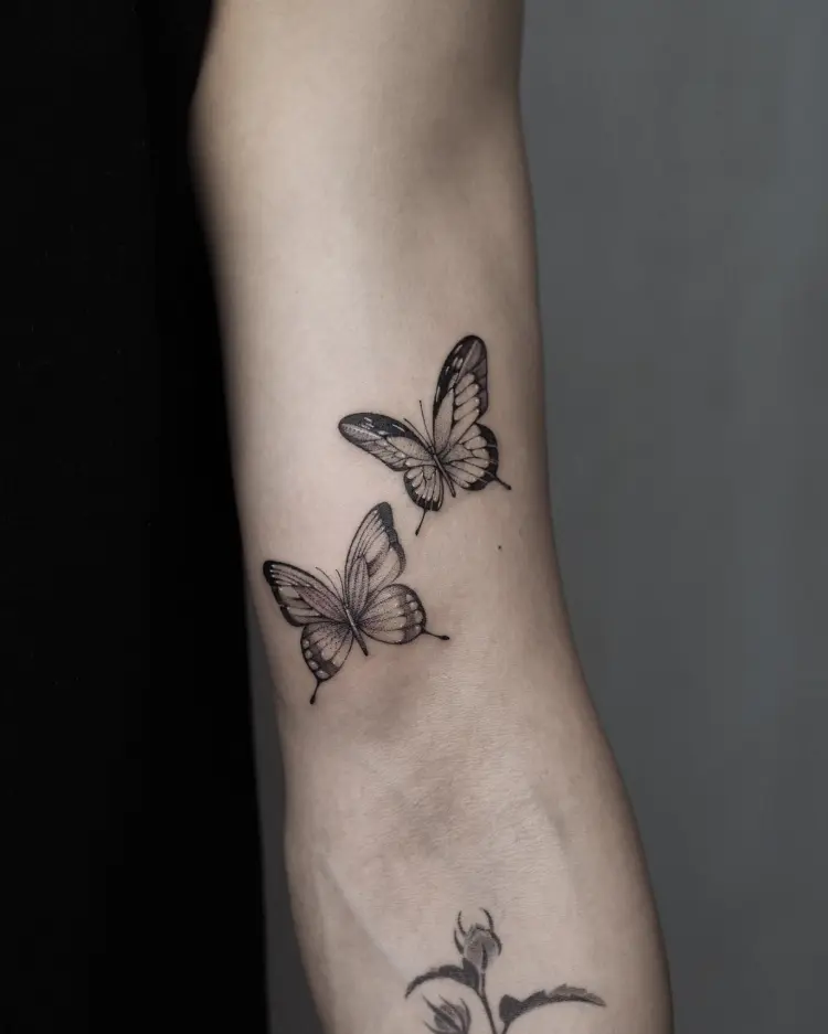 Animal, Nature