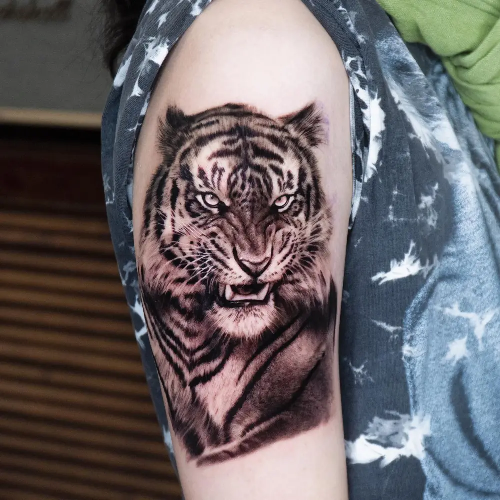 Tiger