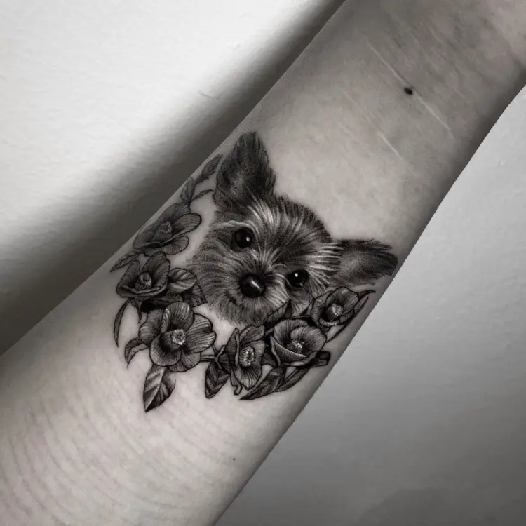 Animal