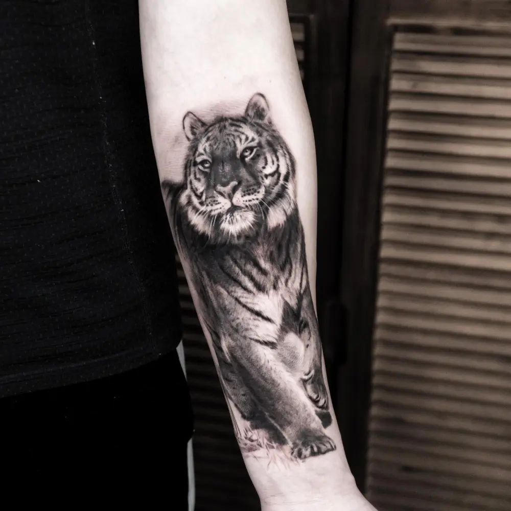Tiger