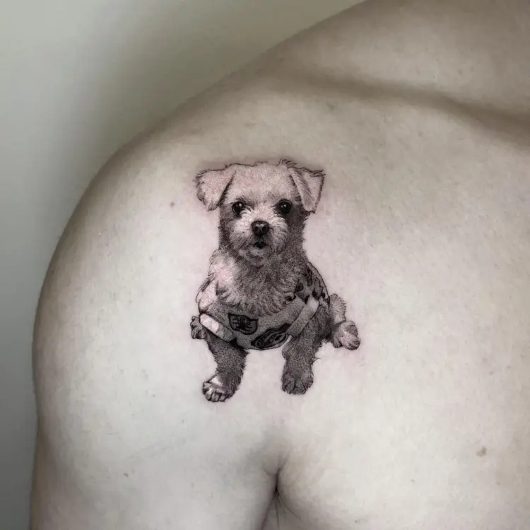 Animal