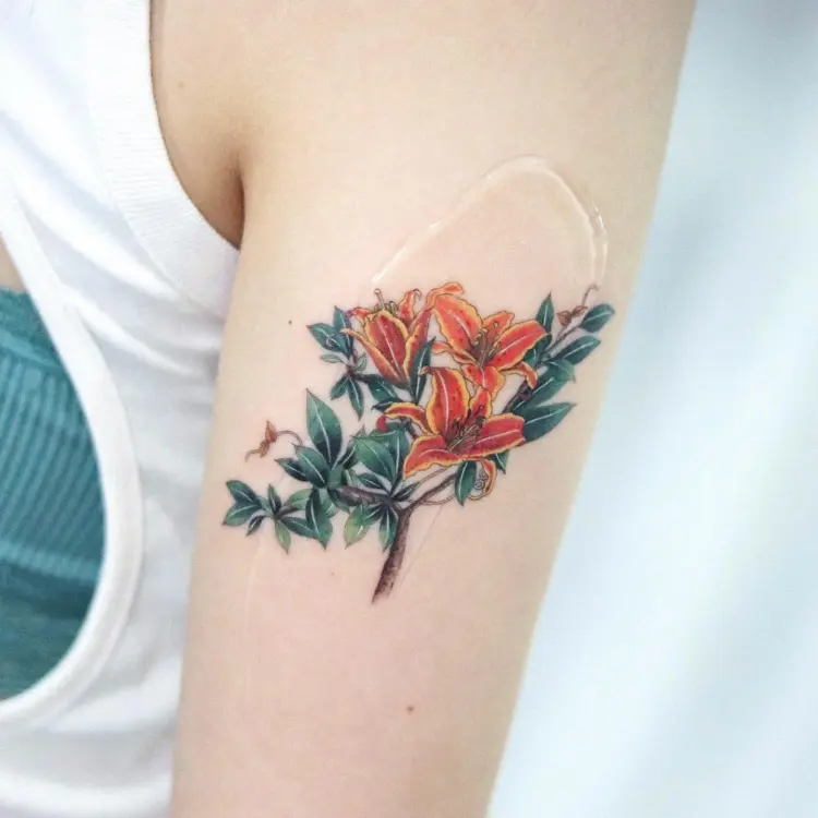 Nature, Flower