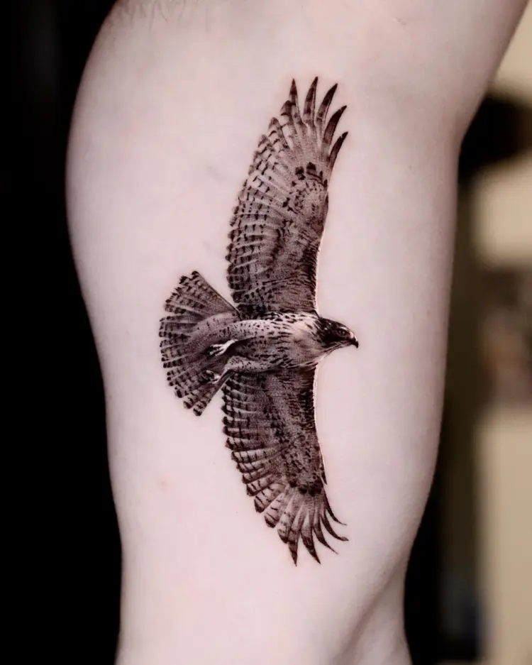 Animal