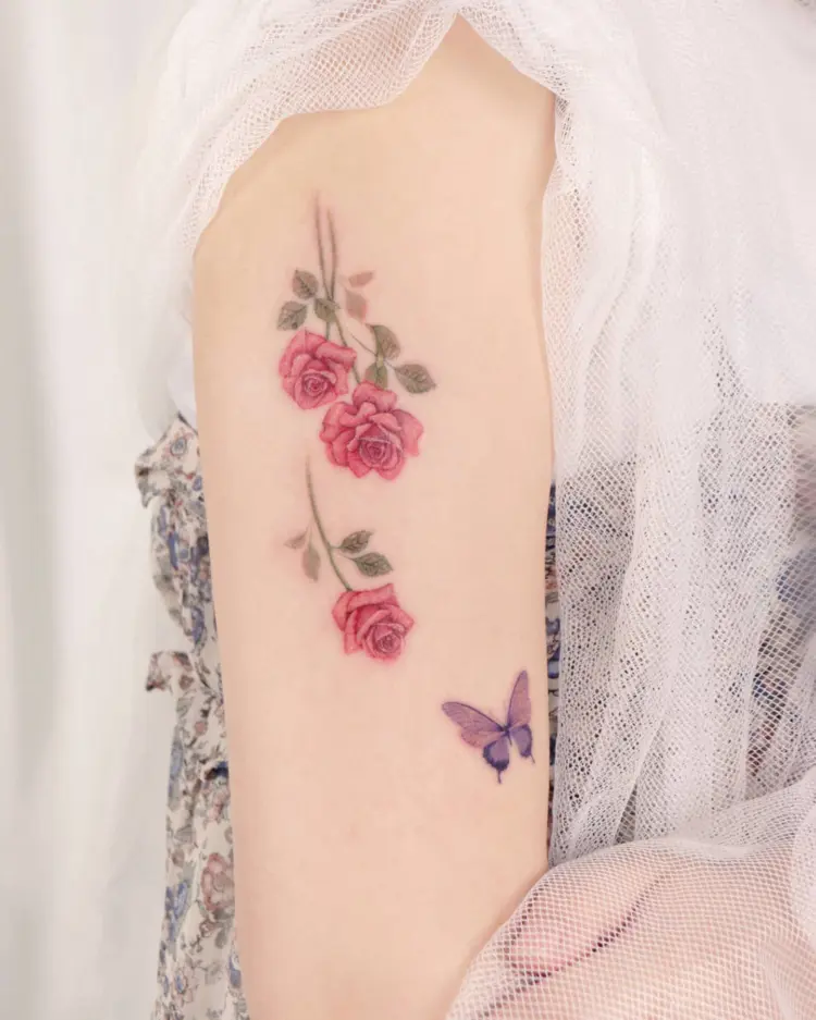 Flower, Rose, Nature
