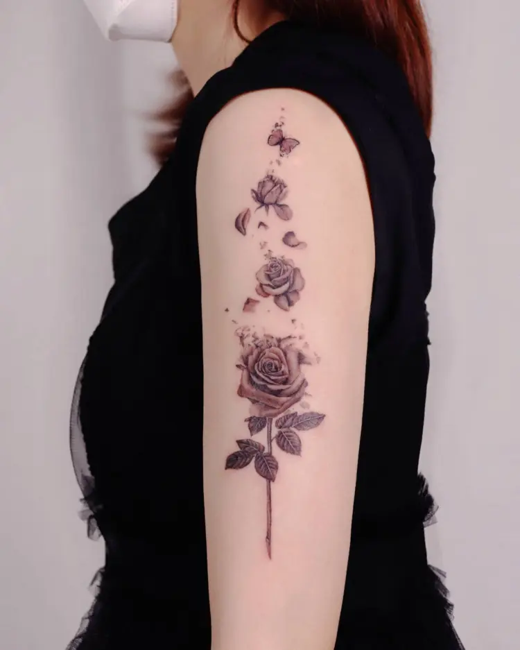 Flower, Rose