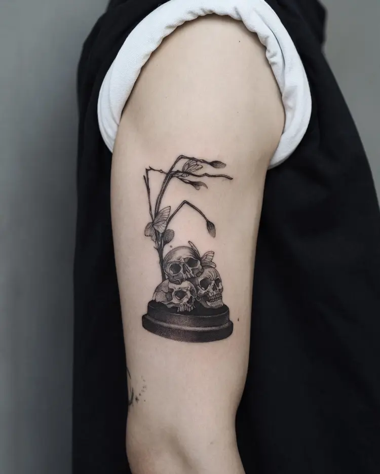 Nature, Skull