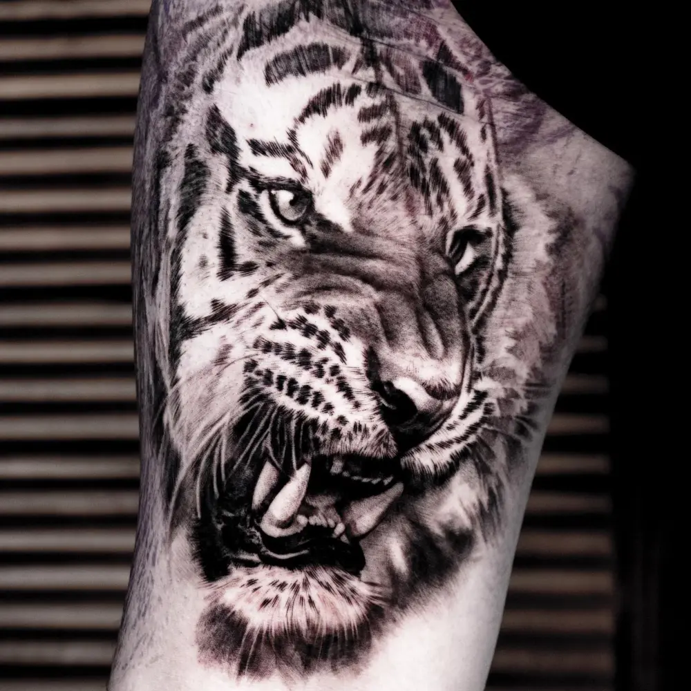 Tiger
