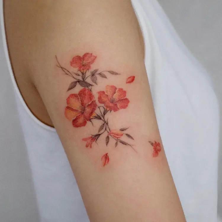 Flower, Rose