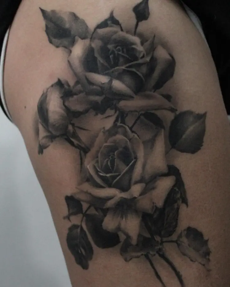 Flower, Rose