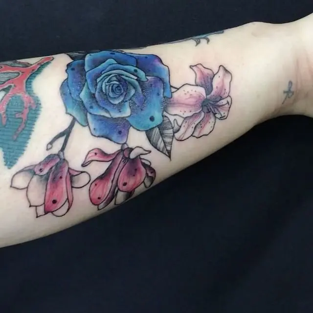 Flower, Rose