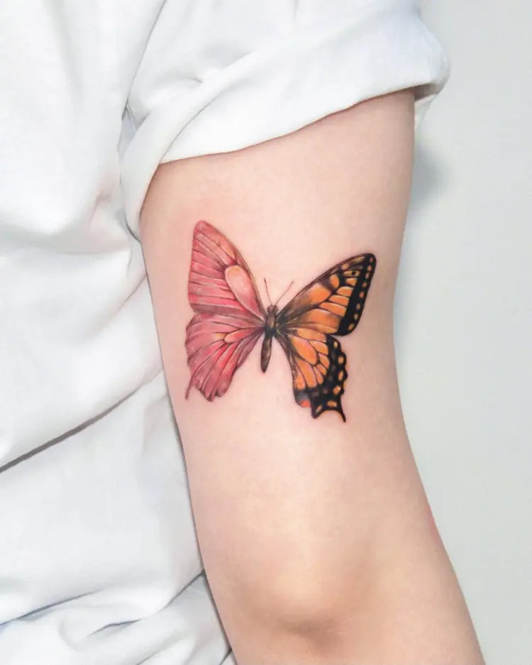 Animal, Nature