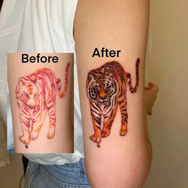 Tiger