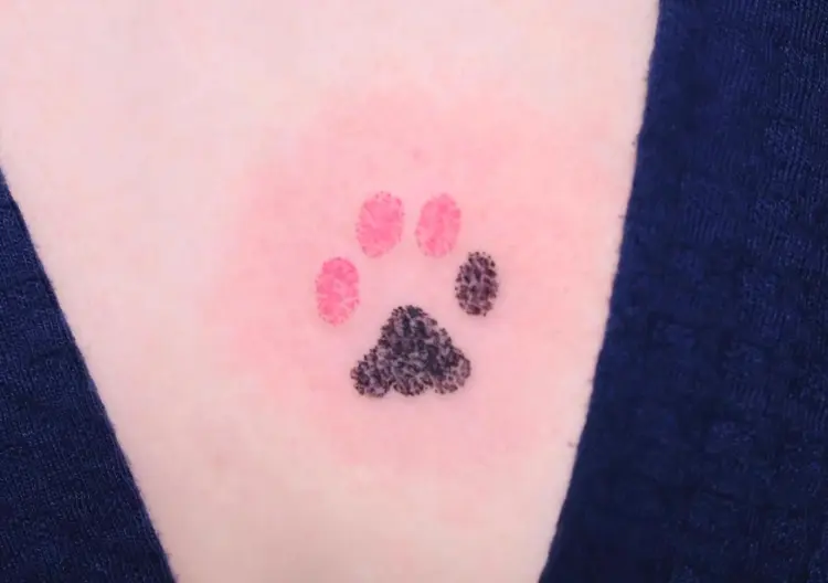 Mini, Animal