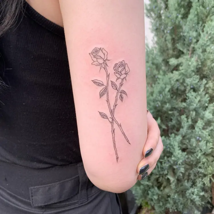 Flower, Rose, Nature