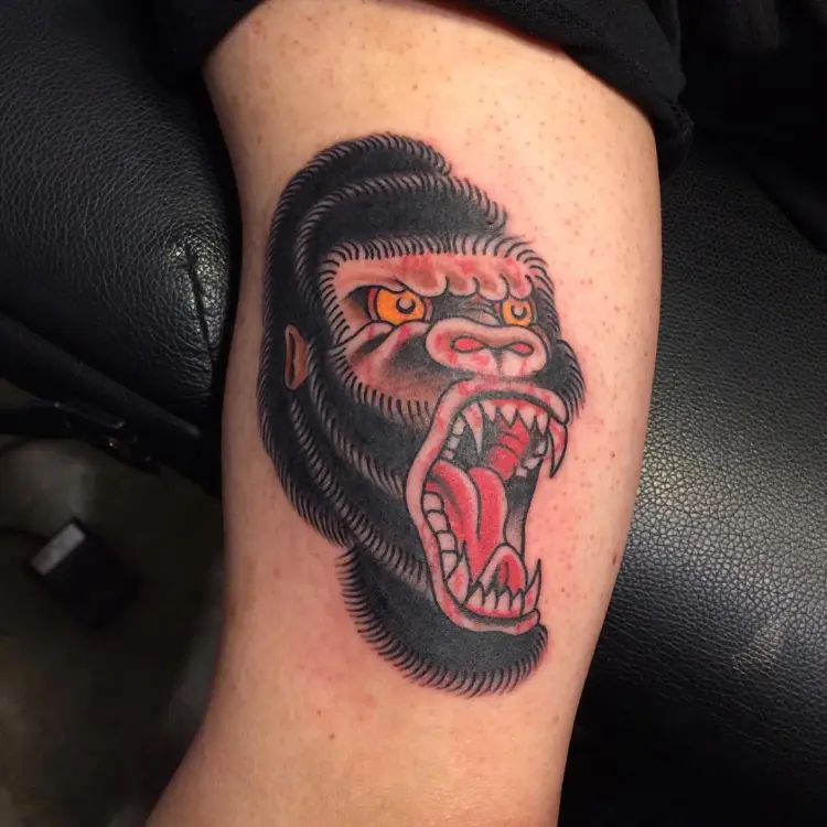 Animal, Tiger