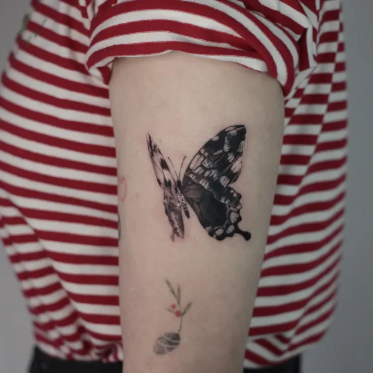 Animal, Nature