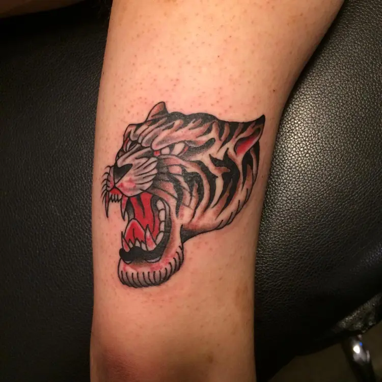 Tiger
