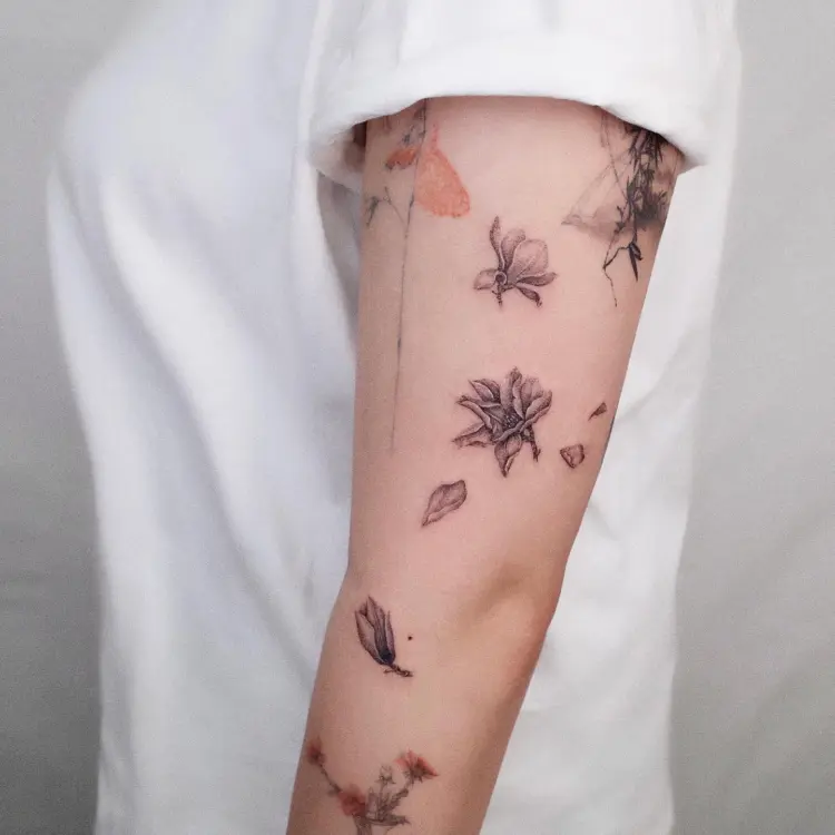 Flower, Rose
