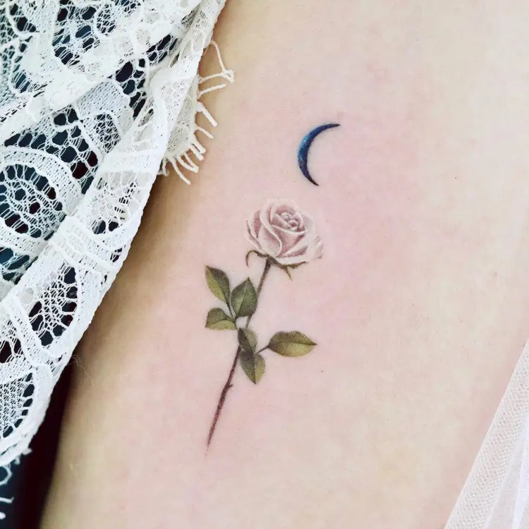 Flower, Rose