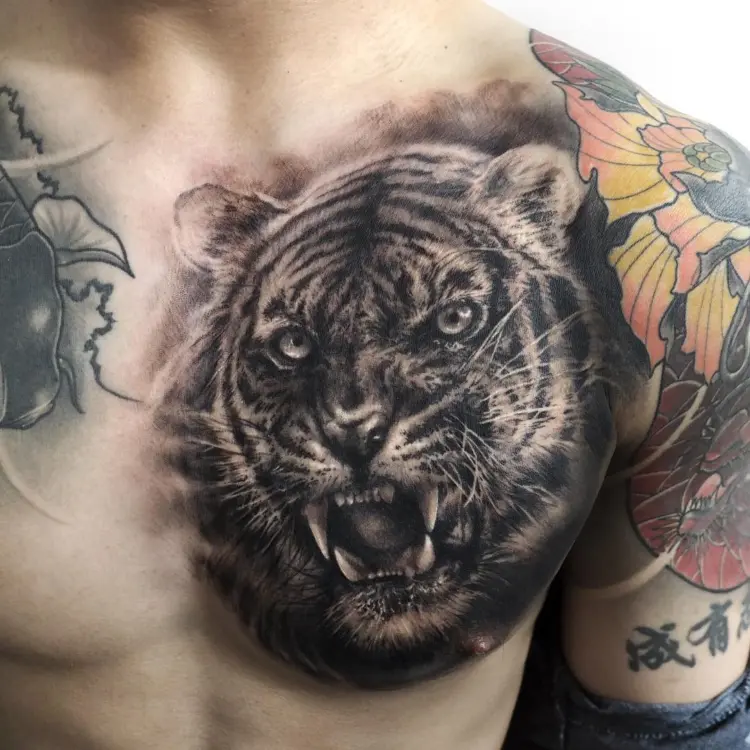 Tiger, Animal