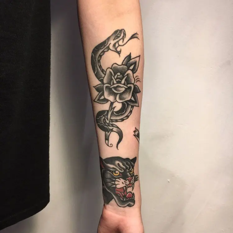 Tiger, Snake, Animal, Flower, Rose