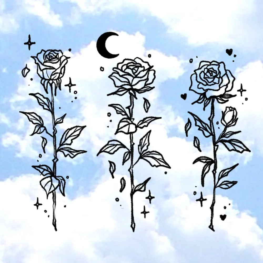 Nature, Rose, Flower