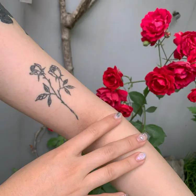 Flower, Rose