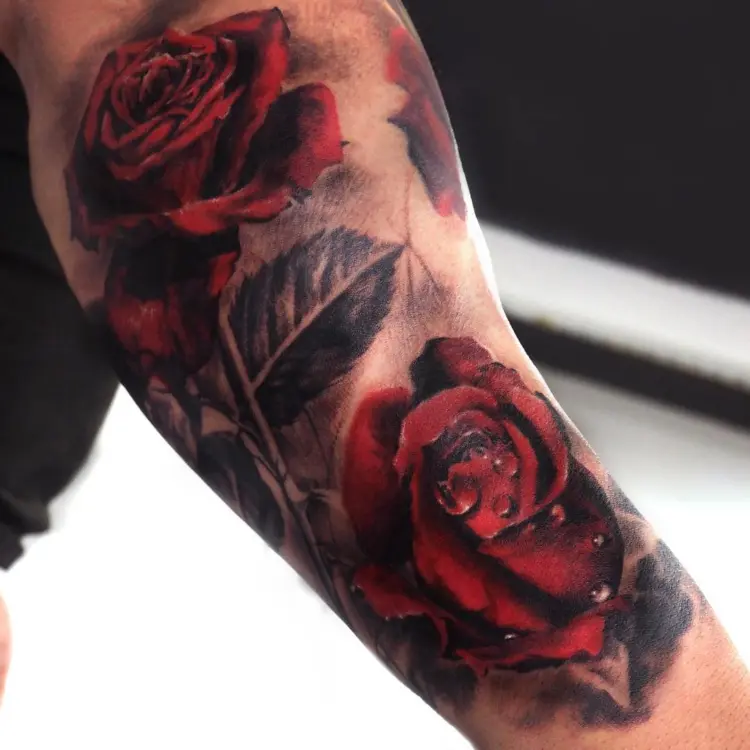 Flower, Rose
