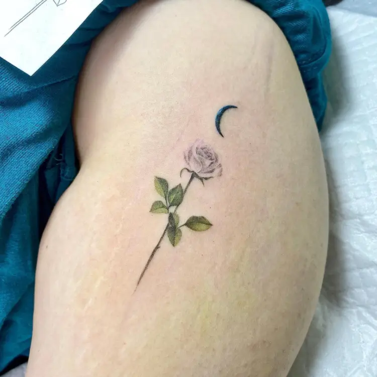 Flower, Rose