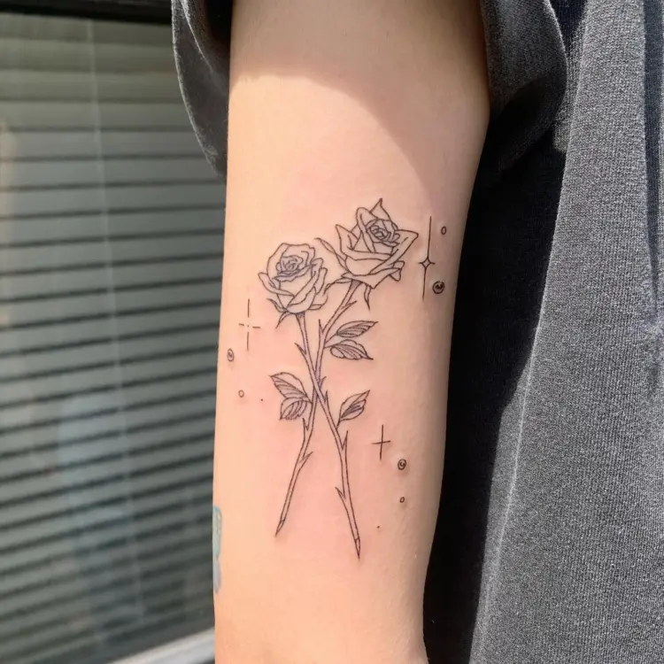 Rose, Flower, Nature