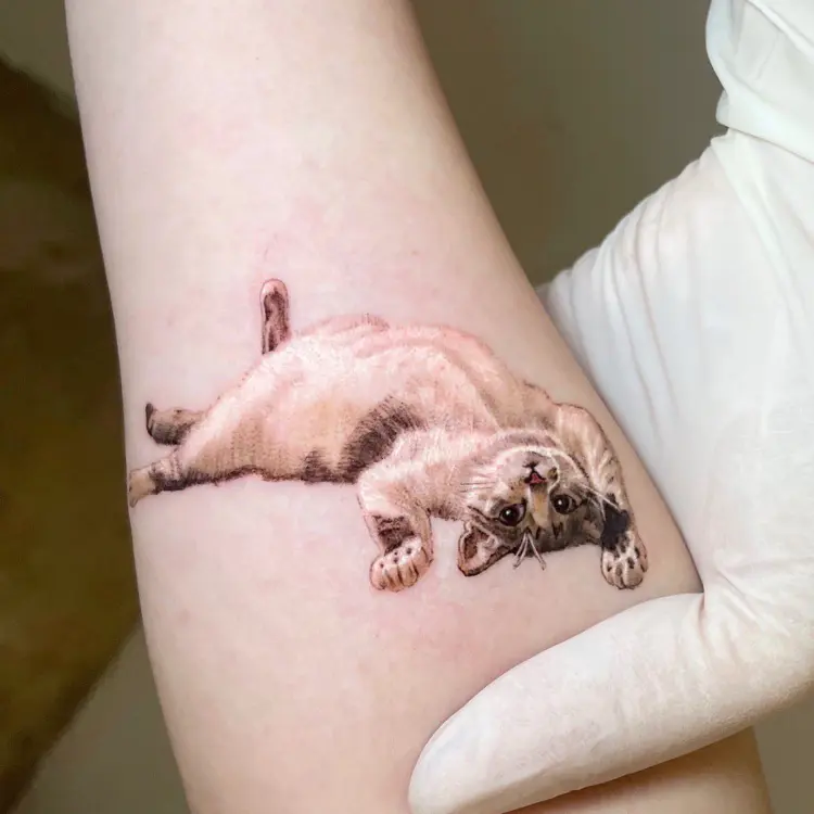 Animal