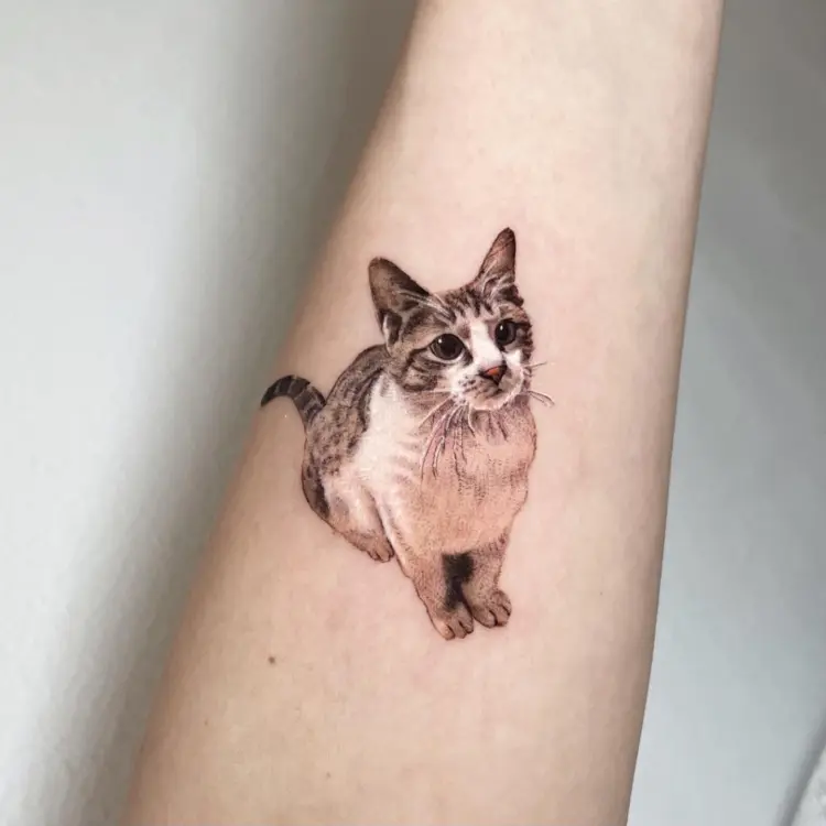 Animal