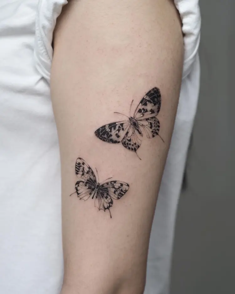 Animal, Nature