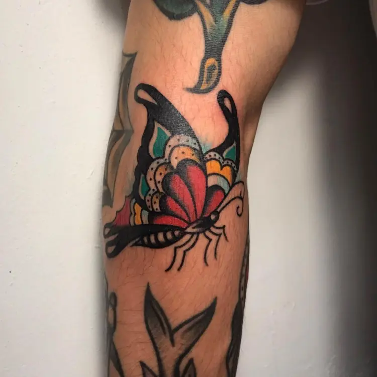 Animal, Flower