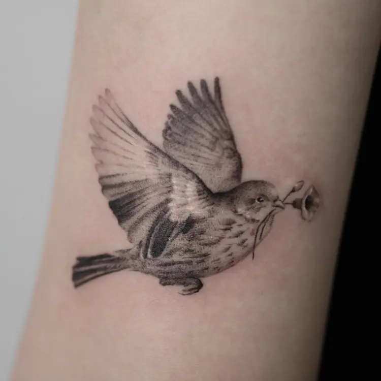 40.tatt