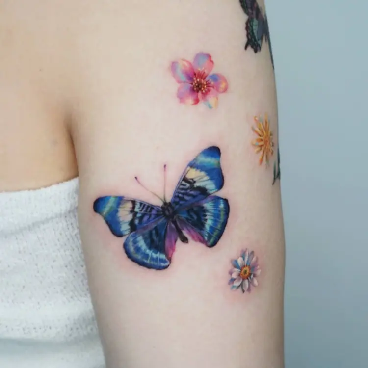 Nature, Animal, Flower