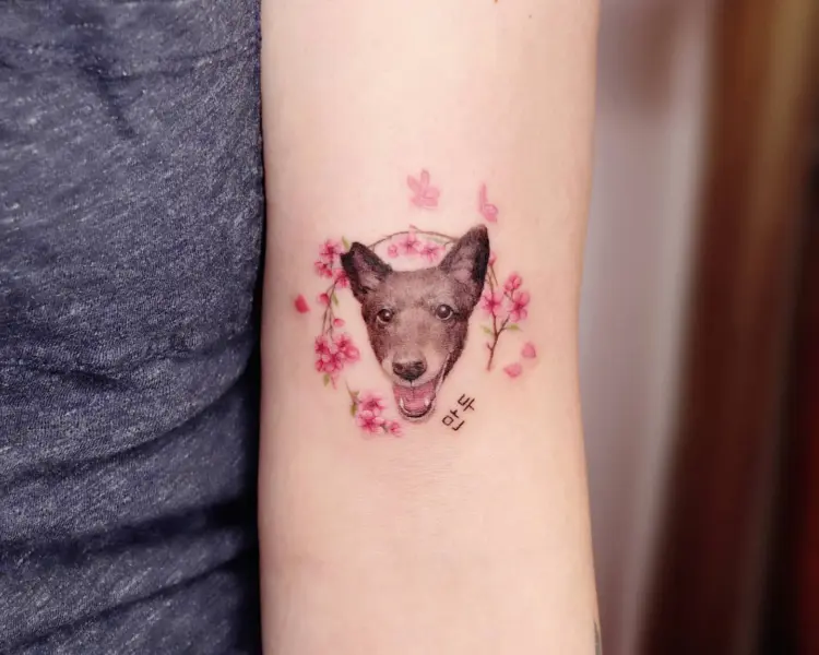 Animal